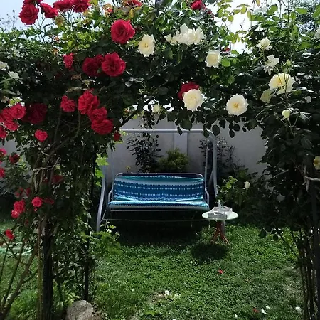 топи * Kaloyanovo (Plovdiv)