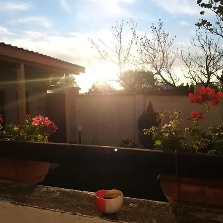 топи * Kaloyanovo (Plovdiv)