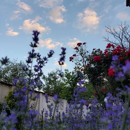 топи Villa Kaloyanovo (Plovdiv)