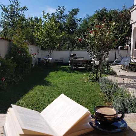 Villa топи *