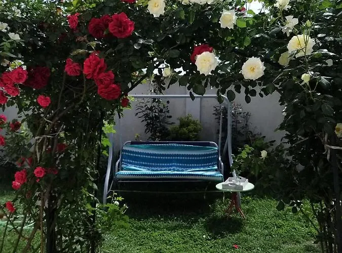 топи * Kaloyanovo (Plovdiv)