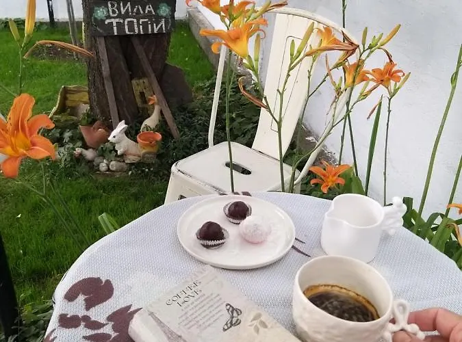 Луксозна вила топи