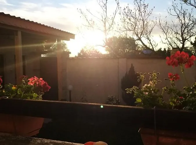 топи * Kaloyanovo (Plovdiv)