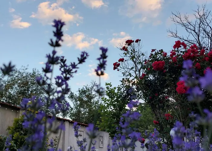 топи Луксозна вила Kaloyanovo (Plovdiv)